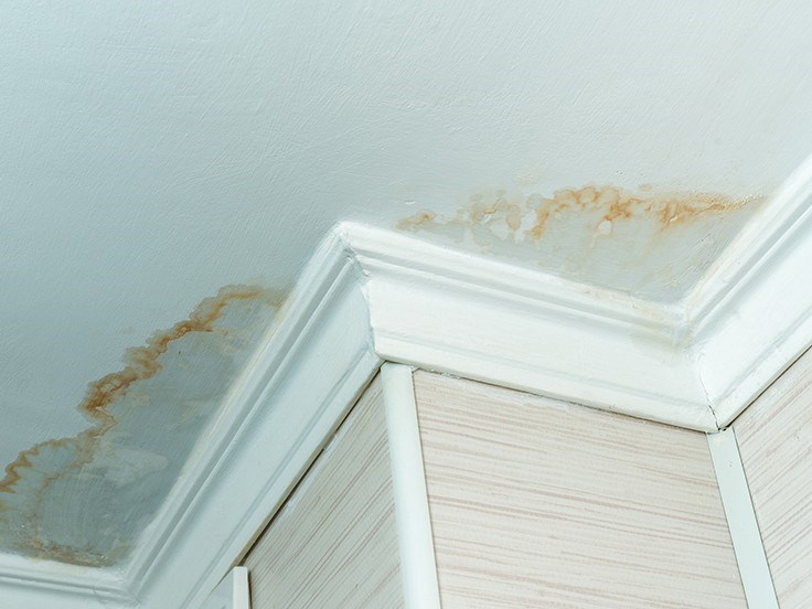 roof damage leading to leaks and interior stains